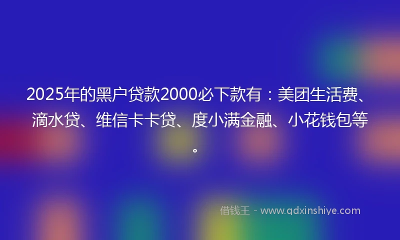 2025年的黑户贷款2000必下款有：美团生活费、滴水贷、维信卡卡贷、度小满金融、小花钱包等。