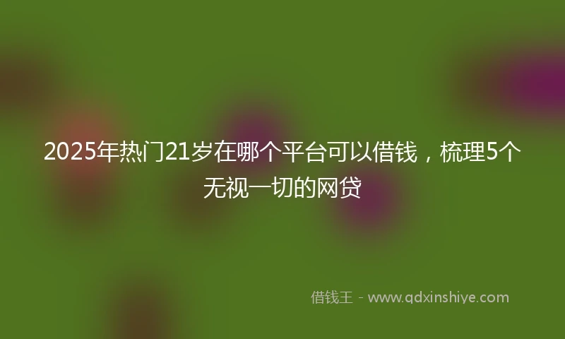 2025年热门21岁在哪个平台可以借钱，梳理5个无视一切的网贷