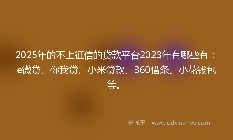 2025年的不上征信的贷款平台2023年有哪些有：e微贷、你我贷、小米贷款、360借条、小花钱包等。