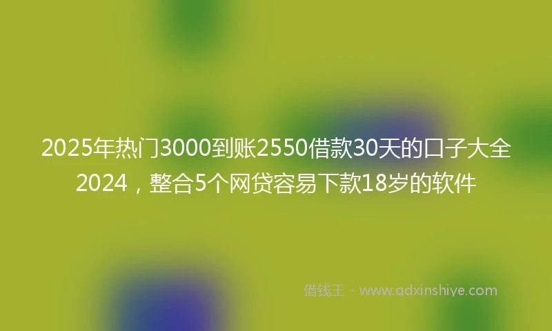 2025年热门3000到账2550借款30天的口子大全2024，整合5个网贷容易下款18岁的软件