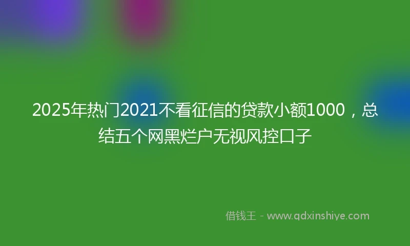 2025年热门2021不看征信的贷款小额1000，总结五个网黑烂户无视风控口子