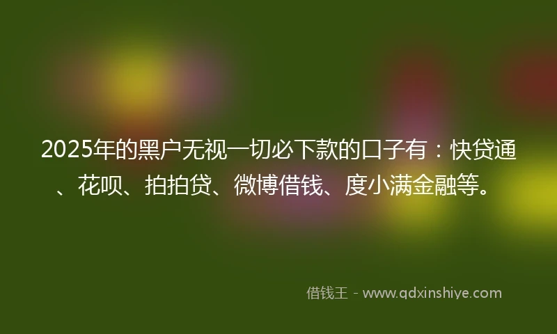 2025年的黑户无视一切必下款的口子有：快贷通、花呗、拍拍贷、微博借钱、度小满金融等。