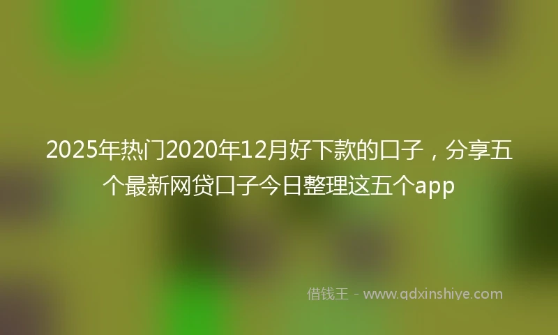 2025年热门2020年12月好下款的口子，分享五个最新网贷口子今日整理这五个app