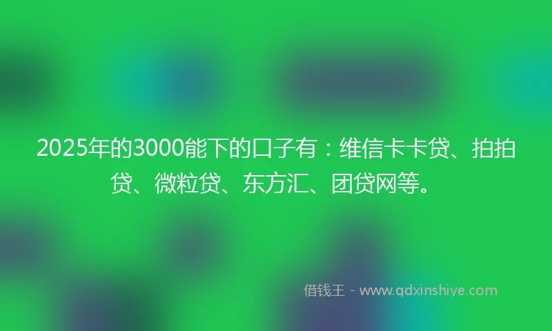2025年的3000能下的口子有：维信卡卡贷、拍拍贷、微粒贷、东方汇、团贷网等。