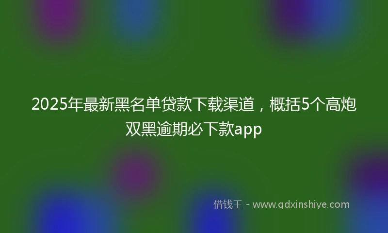 2025年最新黑名单贷款下载渠道，概括5个高炮双黑逾期必下款app