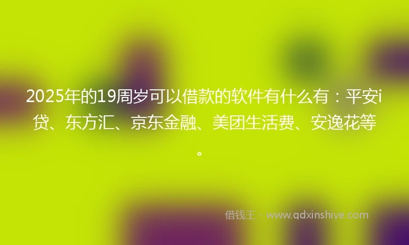 2025年的19周岁可以借款的软件有什么有：平安i贷、东方汇、京东金融、美团生活费、安逸花等。