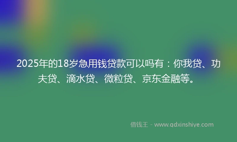 2025年的18岁急用钱贷款可以吗有：你我贷、功夫贷、滴水贷、微粒贷、京东金融等。
