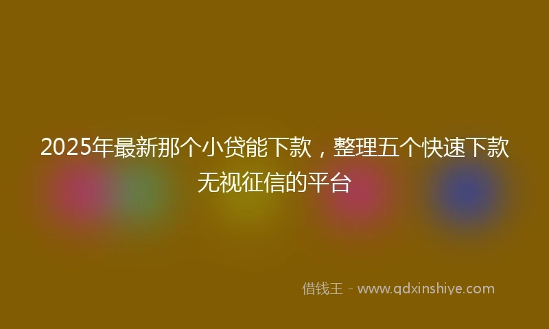 2025年最新那个小贷能下款，整理五个快速下款无视征信的平台
