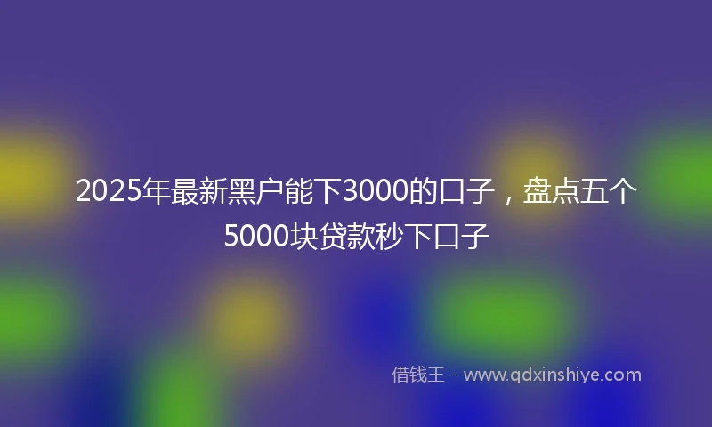 2025年最新黑户能下3000的口子，盘点五个5000块贷款秒下口子