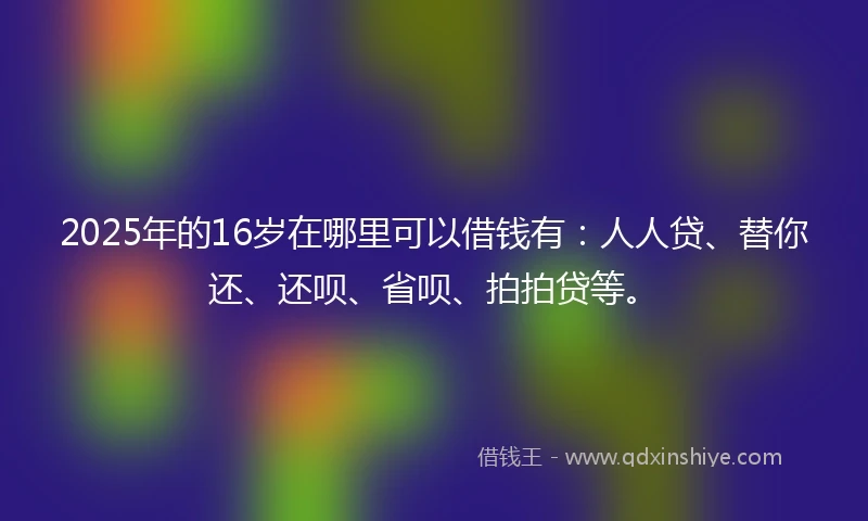 2025年的16岁在哪里可以借钱有：人人贷、替你还、还呗、省呗、拍拍贷等。