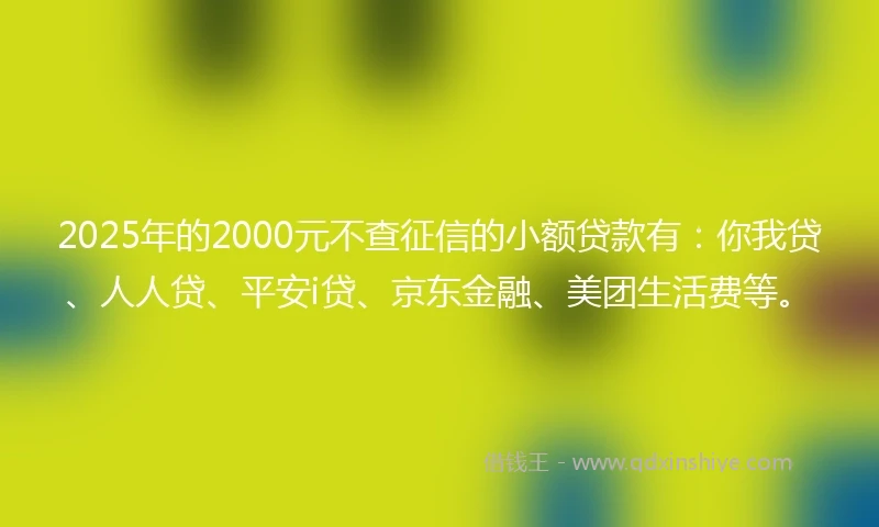 2025年的2000元不查征信的小额贷款有：你我贷、人人贷、平安i贷、京东金融、美团生活费等。