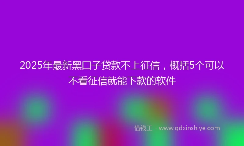 2025年最新黑囗子贷款不上征信，概括5个可以不看征信就能下款的软件