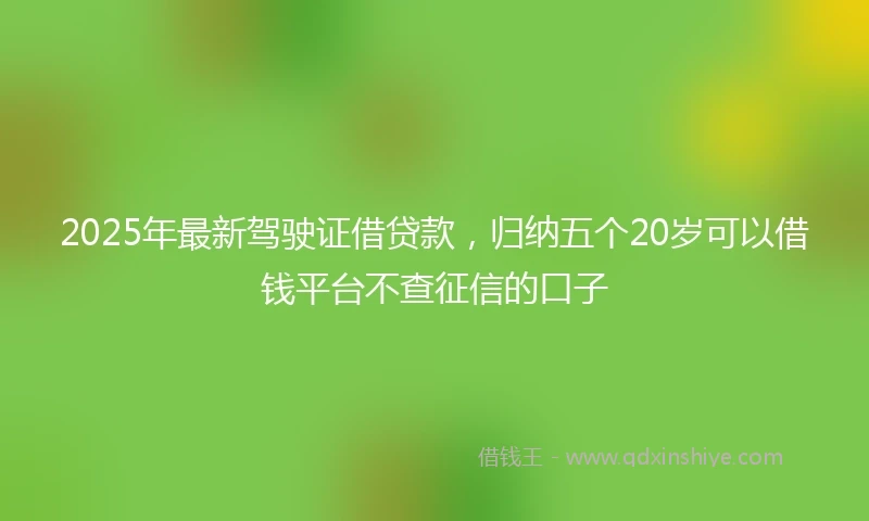 2025年最新驾驶证借贷款，归纳五个20岁可以借钱平台不查征信的口子