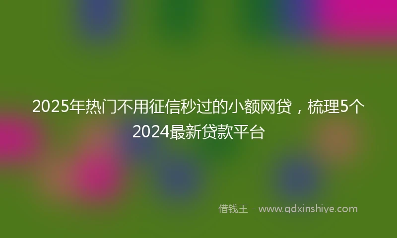 2025年热门不用征信秒过的小额网贷，梳理5个2024最新贷款平台