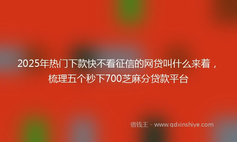 2025年热门下款快不看征信的网贷叫什么来着，梳理五个秒下700芝麻分贷款平台