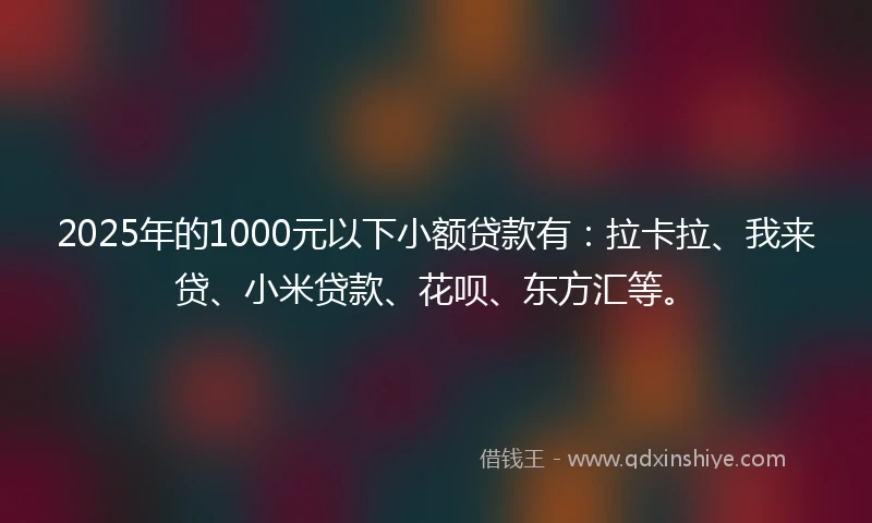 2025年的1000元以下小额贷款有：拉卡拉、我来贷、小米贷款、花呗、东方汇等。