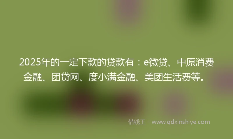 2025年的一定下款的贷款有：e微贷、中原消费金融、团贷网、度小满金融、美团生活费等。