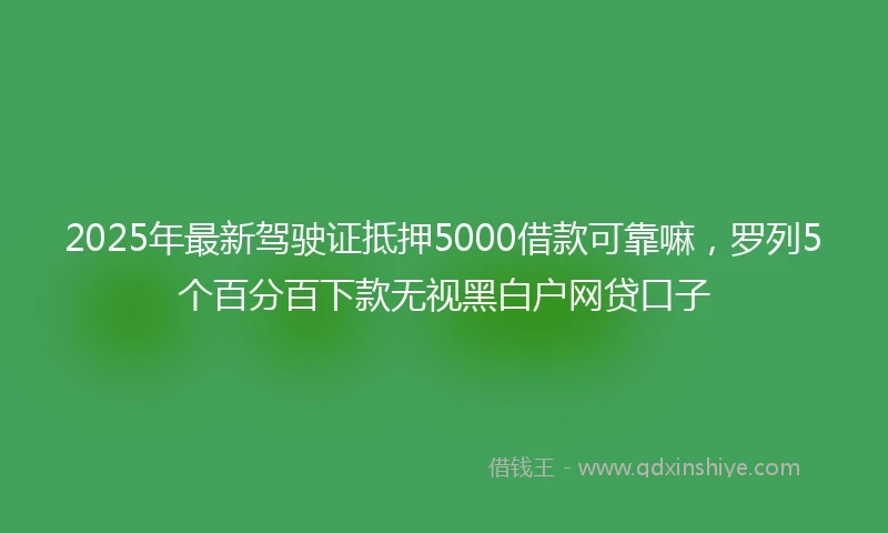2025年最新驾驶证抵押5000借款可靠嘛，罗列5个百分百下款无视黑白户网贷口子