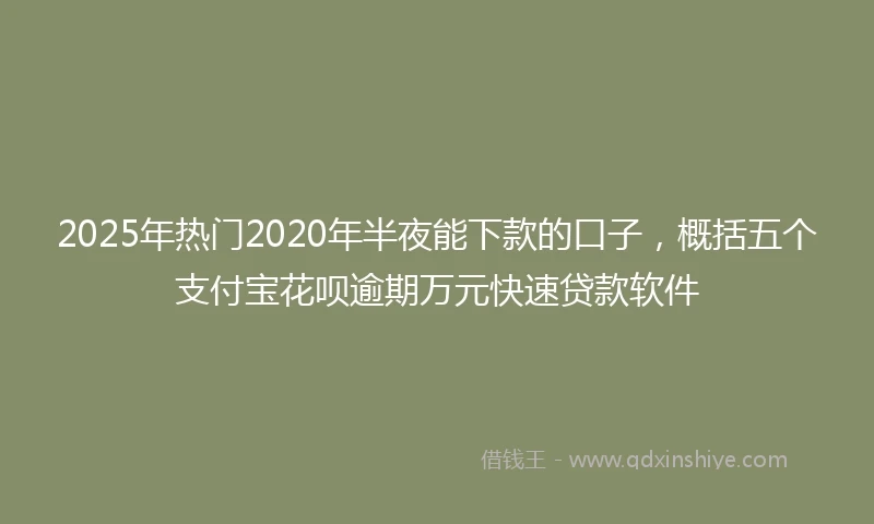 2025年热门2020年半夜能下款的口子，概括五个支付宝花呗逾期万元快速贷款软件