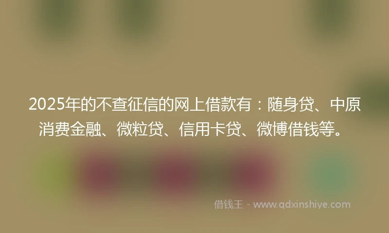 2025年的不查征信的网上借款有：随身贷、中原消费金融、微粒贷、信用卡贷、微博借钱等。