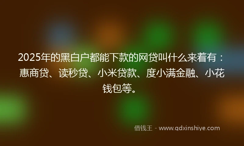 2025年的黑白户都能下款的网贷叫什么来着有：惠商贷、读秒贷、小米贷款、度小满金融、小花钱包等。
