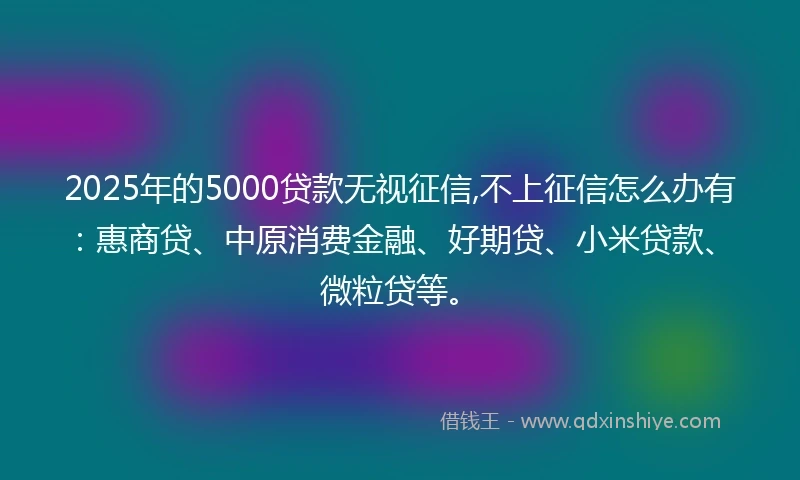 2025年的5000贷款无视征信,不上征信怎么办有：惠商贷、中原消费金融、好期贷、小米贷款、微粒贷等。