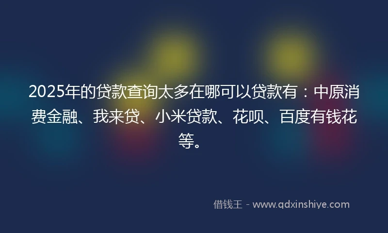 2025年的贷款查询太多在哪可以贷款有：中原消费金融、我来贷、小米贷款、花呗、百度有钱花等。
