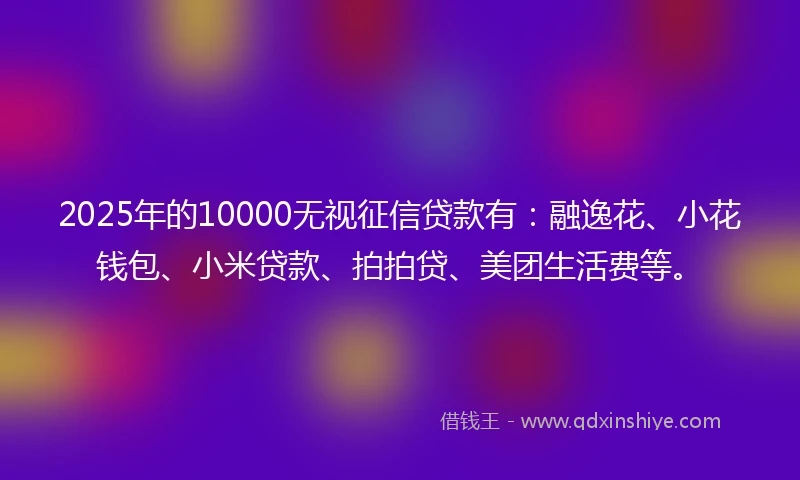 2025年的10000无视征信贷款有：融逸花、小花钱包、小米贷款、拍拍贷、美团生活费等。