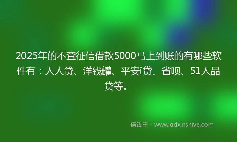 2025年的不查征信借款5000马上到账的有哪些软件有：人人贷、洋钱罐、平安i贷、省呗、51人品贷等。