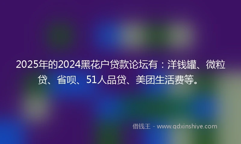 2025年的2024黑花户贷款论坛有：洋钱罐、微粒贷、省呗、51人品贷、美团生活费等。