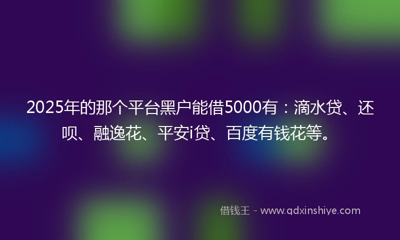 2025年的那个平台黑户能借5000有：滴水贷、还呗、融逸花、平安i贷、百度有钱花等。
