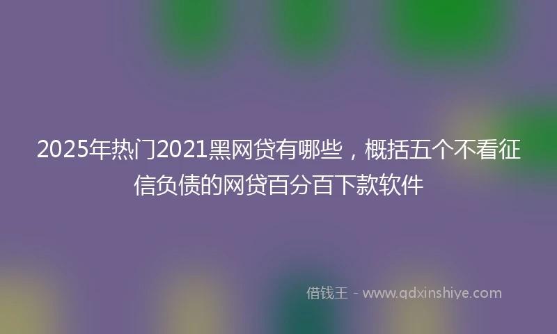 2025年热门2021黑网贷有哪些，概括五个不看征信负债的网贷百分百下款软件