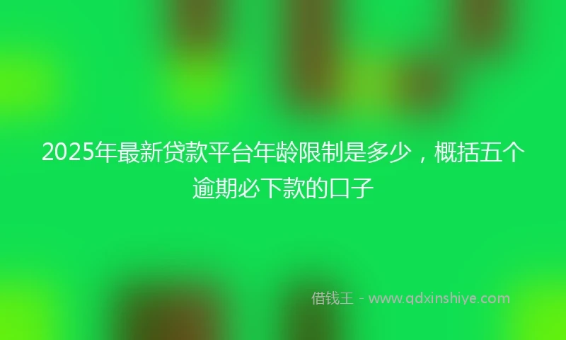 2025年最新贷款平台年龄限制是多少，概括五个逾期必下款的口子