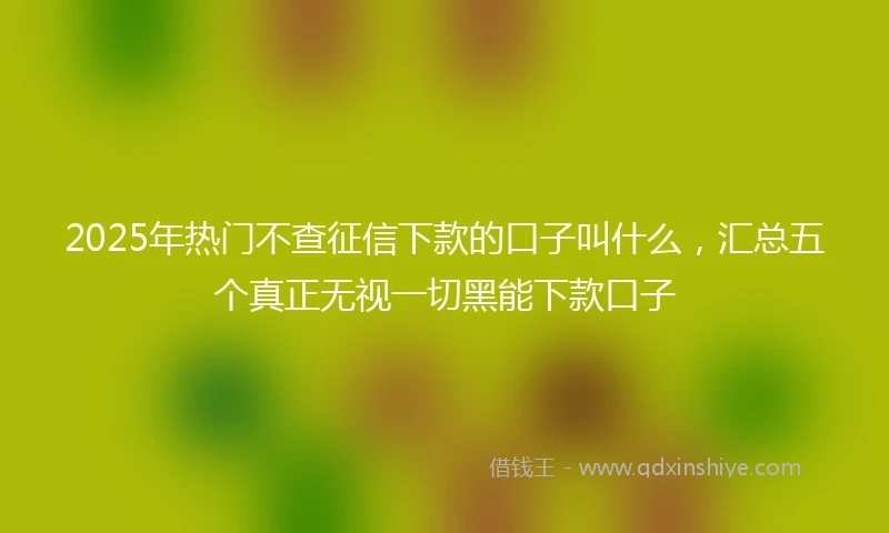 2025年热门不查征信下款的口子叫什么，汇总五个真正无视一切黑能下款口子