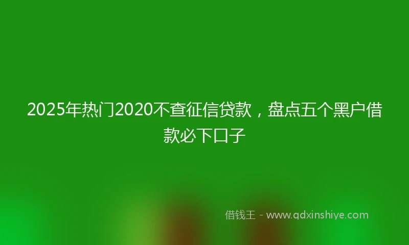 2025年热门2020不查征信贷款，盘点五个黑户借款必下口子