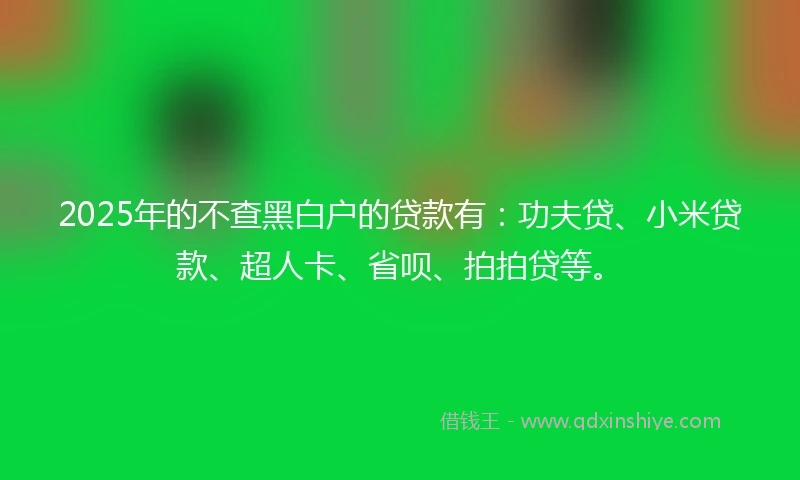 2025年的不查黑白户的贷款有：功夫贷、小米贷款、超人卡、省呗、拍拍贷等。