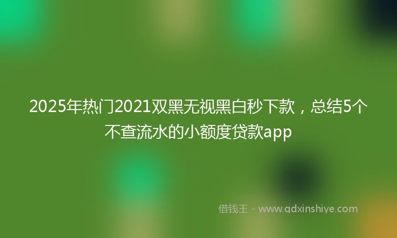 2025年热门2021双黑无视黑白秒下款，总结5个不查流水的小额度贷款app