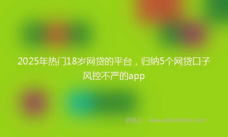 2025年热门18岁网贷的平台，归纳5个网贷口子风控不严的app