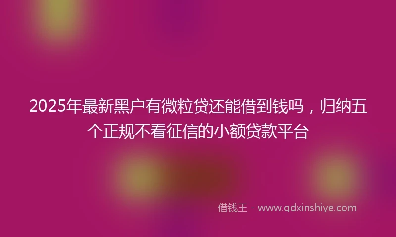2025年最新黑户有微粒贷还能借到钱吗，归纳五个正规不看征信的小额贷款平台