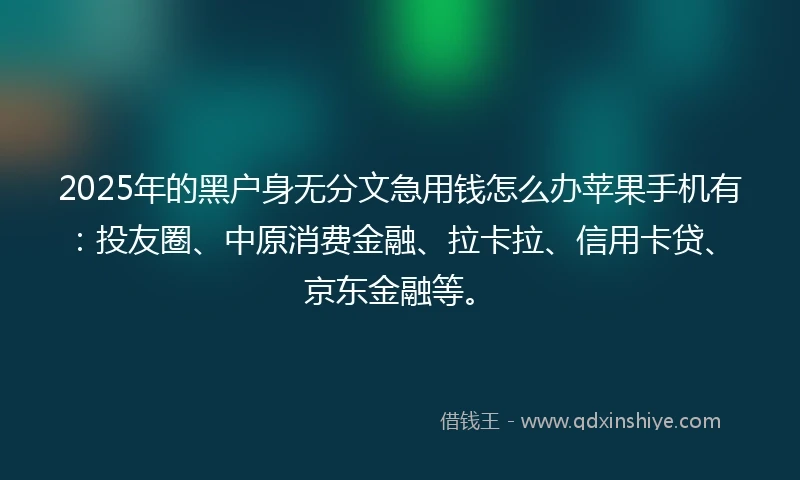2025年的黑户身无分文急用钱怎么办苹果手机有：投友圈、中原消费金融、拉卡拉、信用卡贷、京东金融等。