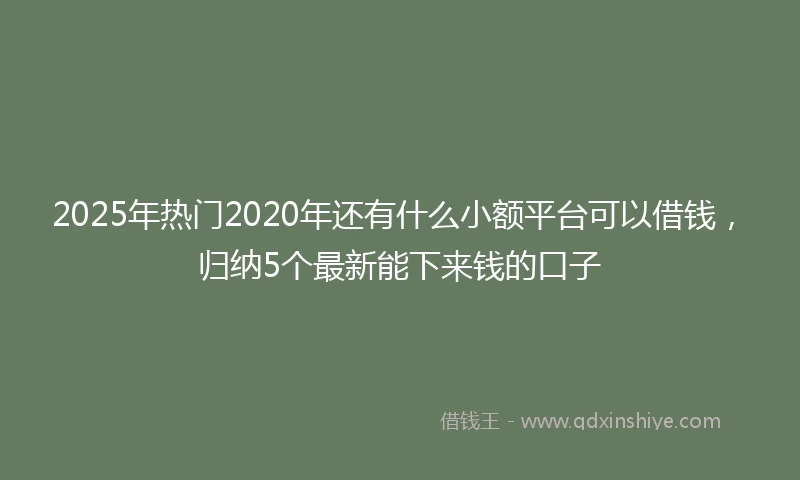 2025年热门2020年还有什么小额平台可以借钱，归纳5个最新能下来钱的口子