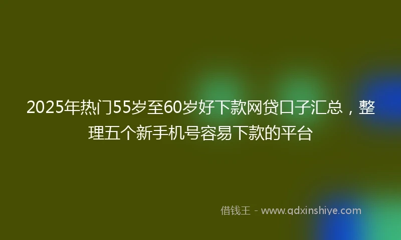 2025年热门55岁至60岁好下款网贷口子汇总，整理五个新手机号容易下款的平台