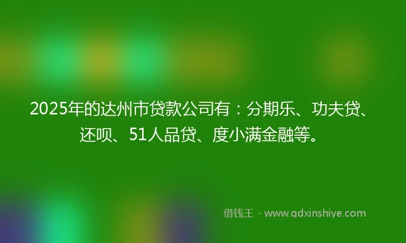 2025年的达州市贷款公司有：分期乐、功夫贷、还呗、51人品贷、度小满金融等。