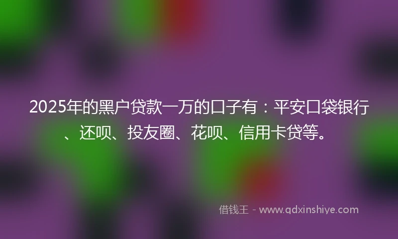 2025年的黑户贷款一万的口子有：平安口袋银行、还呗、投友圈、花呗、信用卡贷等。