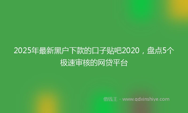 2025年最新黑户下款的口子贴吧2020，盘点5个极速审核的网贷平台