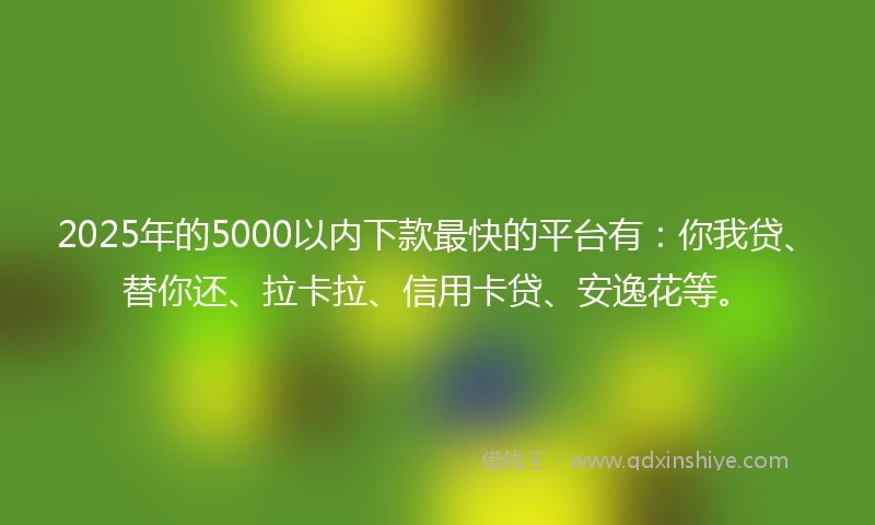 2025年的5000以内下款最快的平台有：你我贷、替你还、拉卡拉、信用卡贷、安逸花等。