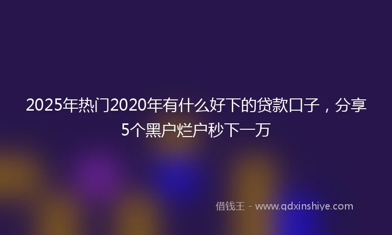 2025年热门2020年有什么好下的贷款口子，分享5个黑户烂户秒下一万