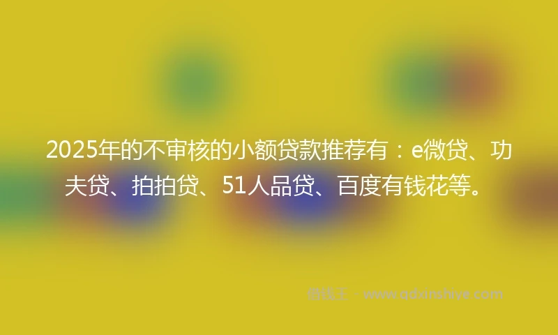 2025年的不审核的小额贷款推荐有：e微贷、功夫贷、拍拍贷、51人品贷、百度有钱花等。