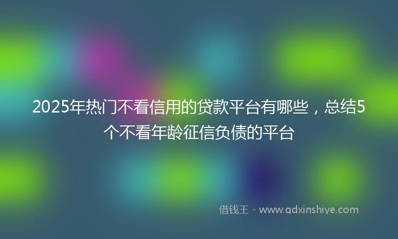 2025年热门不看信用的贷款平台有哪些，总结5个不看年龄征信负债的平台