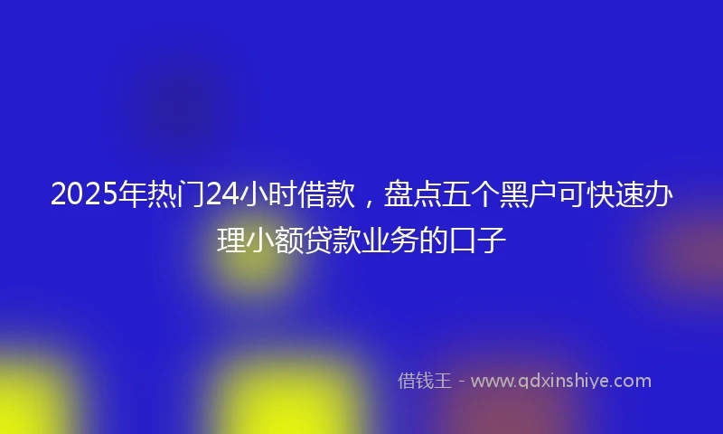 2025年热门24小时借款，盘点五个黑户可快速办理小额贷款业务的口子